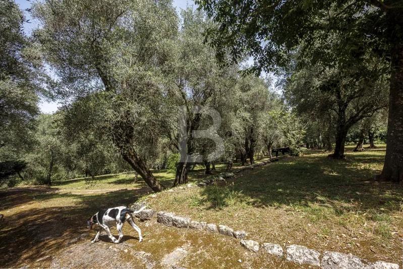 Villa - 368 m² - 10 pièces