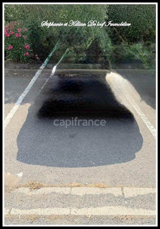 Studio - 20 m² - 1 pièce