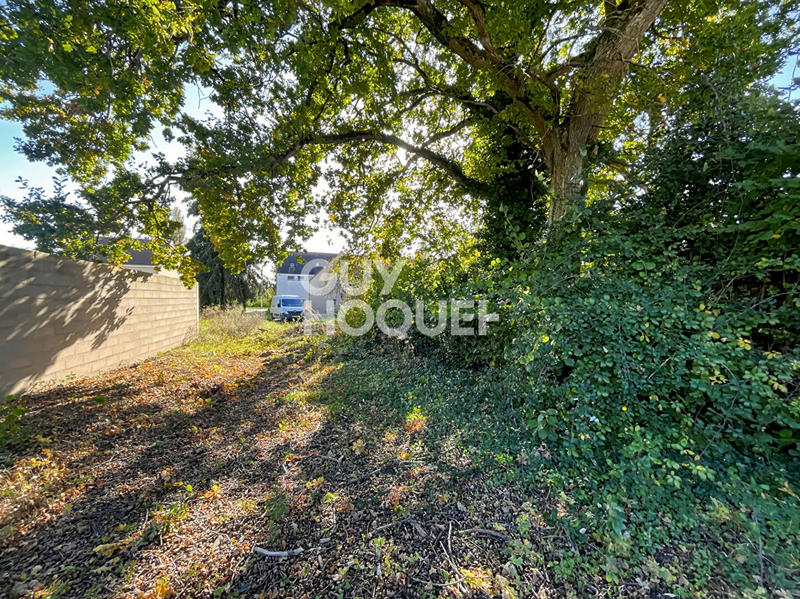 Maison - 1 119 m² - 40 pièces