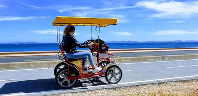 Les Rosalies d Hyères