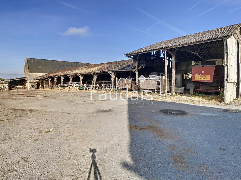 Propriété - 330 m² - 10 pièces