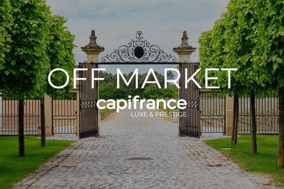 Château - 2 400 m² - 40 pièces