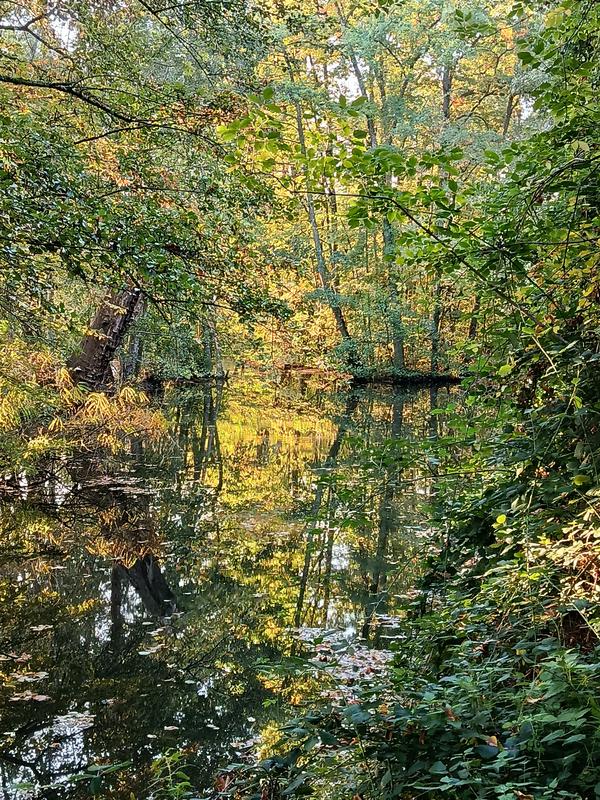 Rando Decouverte à Chateauneuf Sur Loire