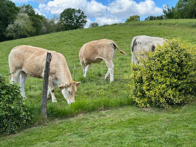 Maison - 230 m² - 6 pièces