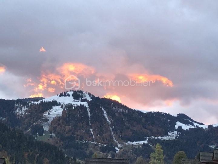 Appartement - 76 m² - 4 pièces