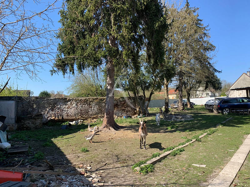 Maison - 157 m² - 6 pièces