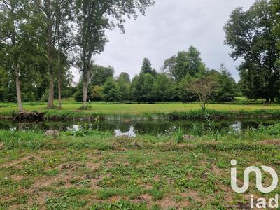 Terrain - 21 351 m²