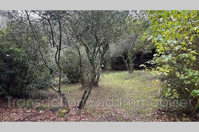 Terrain - 715 m²