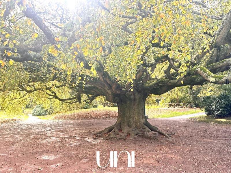 Maison - 118 m² - 6 pièces