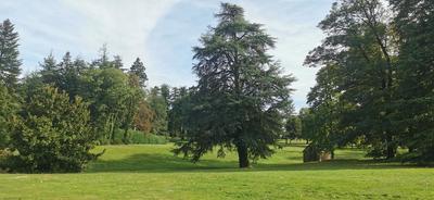 Duplex - 24 m² - 2 pièces