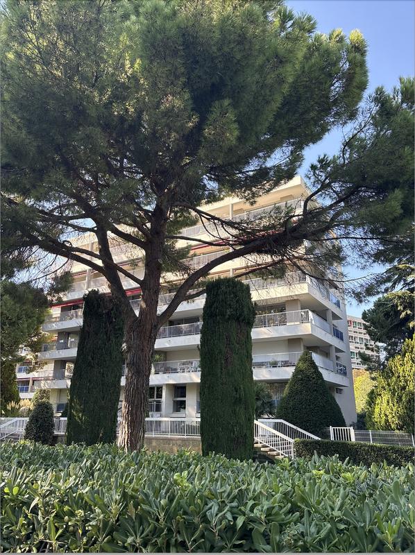 Appartement - 12 m² - 1 pièce