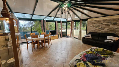 Loft - 54 m² - 1 pièce