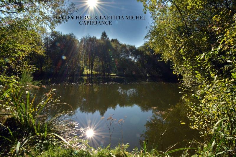 Maison - 250 m² - 9 pièces