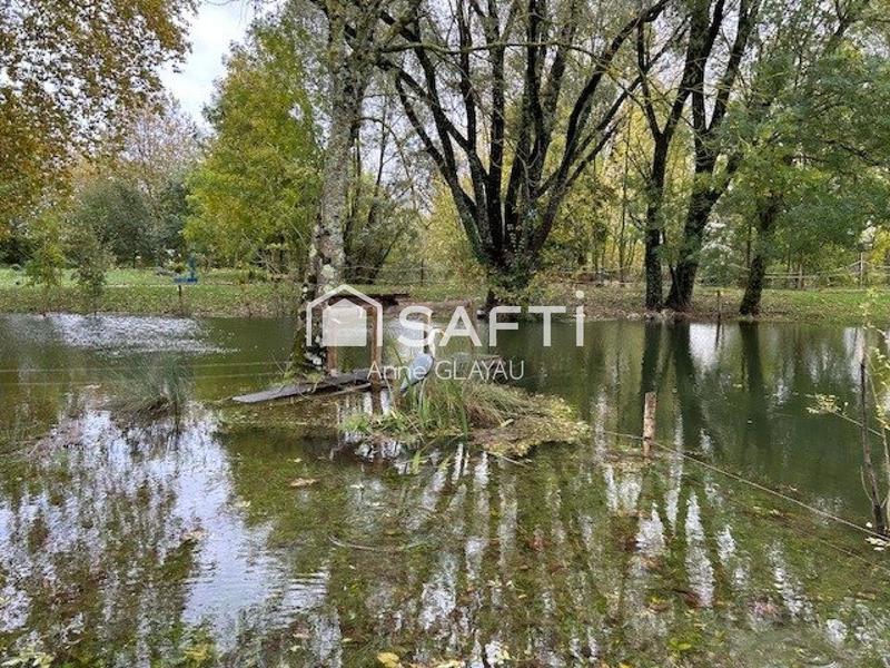 Terrain - 34 265 m²