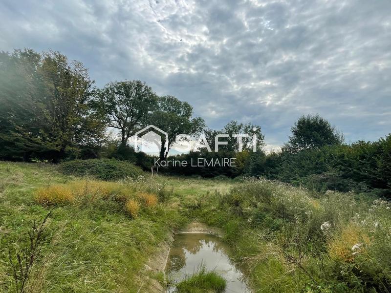 Terrain - 11 965 m²