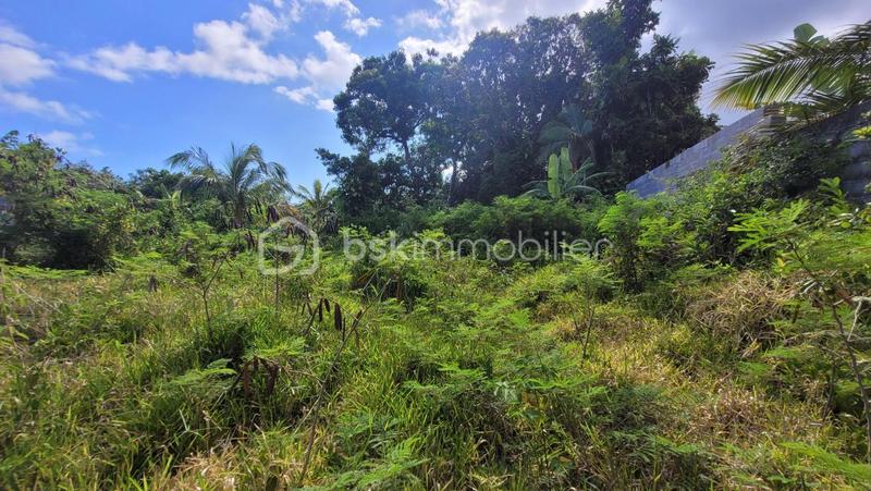 Terrain - 784 m²