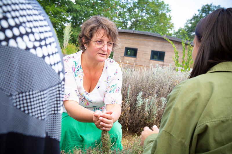 Visite et Atelier : Découvrez les plantes médicinales et fabriquez votre baume