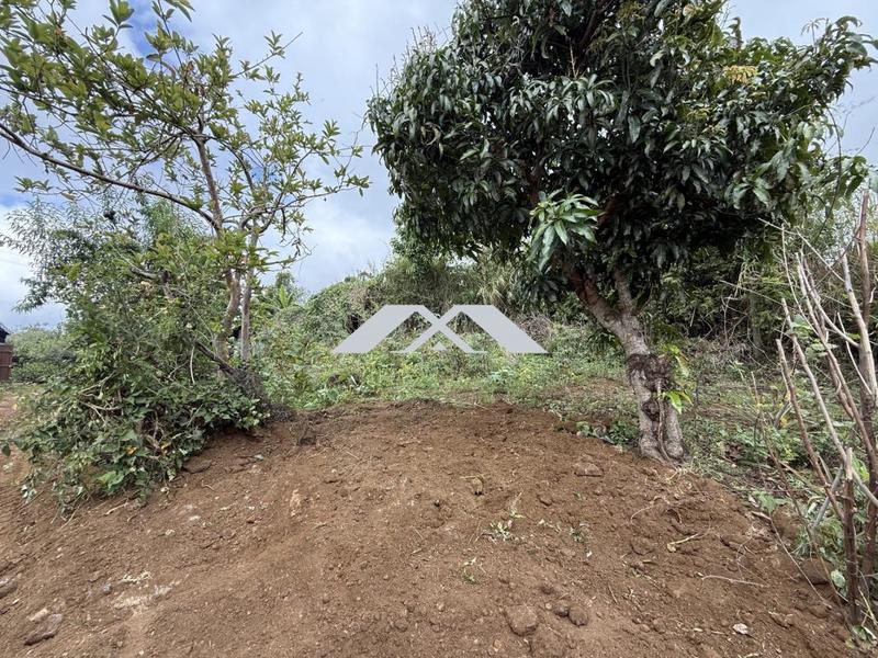 Terrain constructible - 637 m²