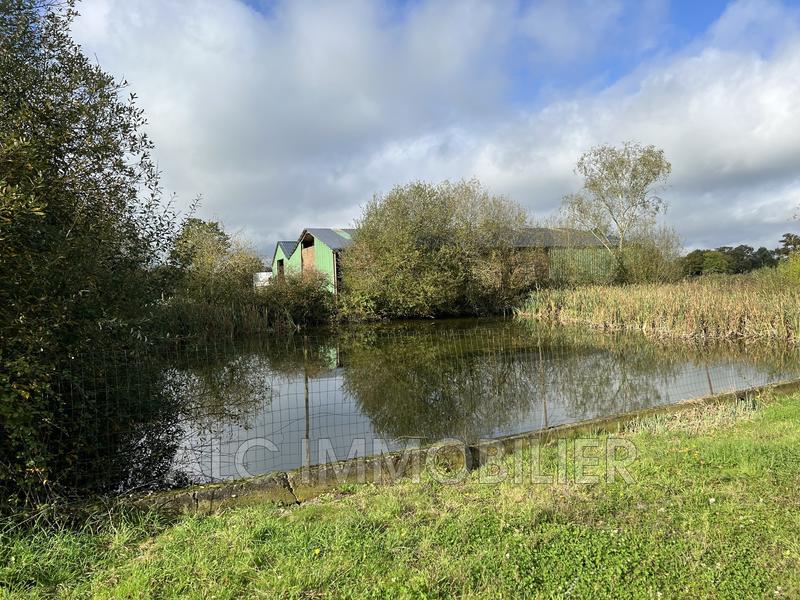 Ferme - 145 m² - 5 pièces
