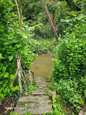 Maison - 214 m² - 9 pièces