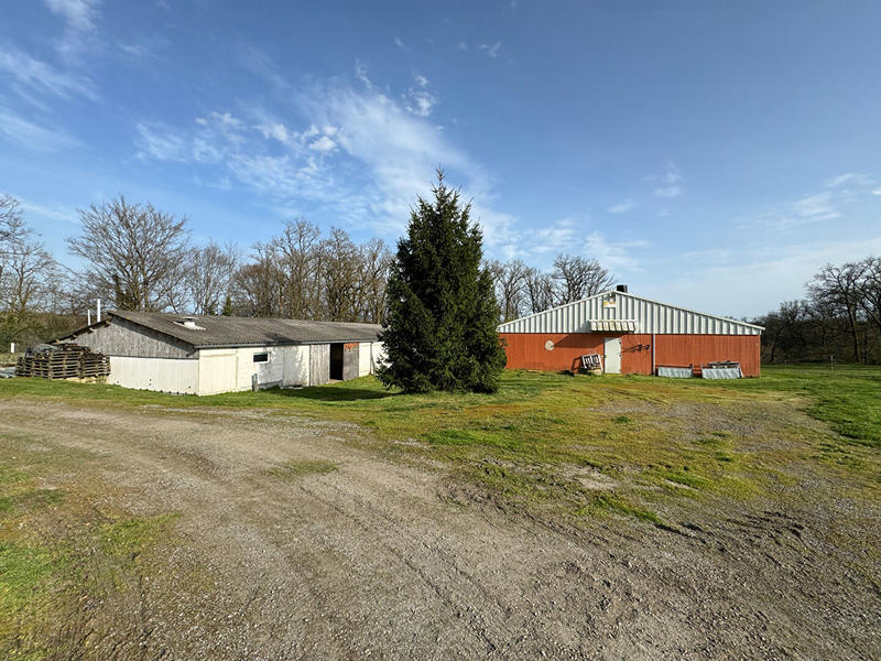 Local d'activité / Entrepôt - 4 518 m²