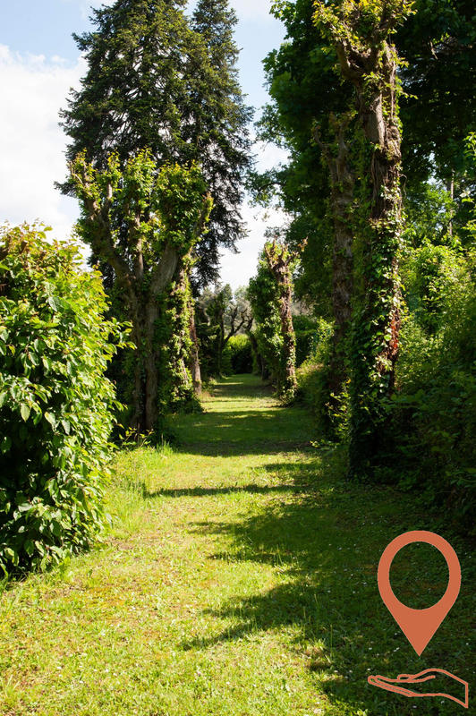 Viager - Maison ancienne - 265 m² - 8 pièces