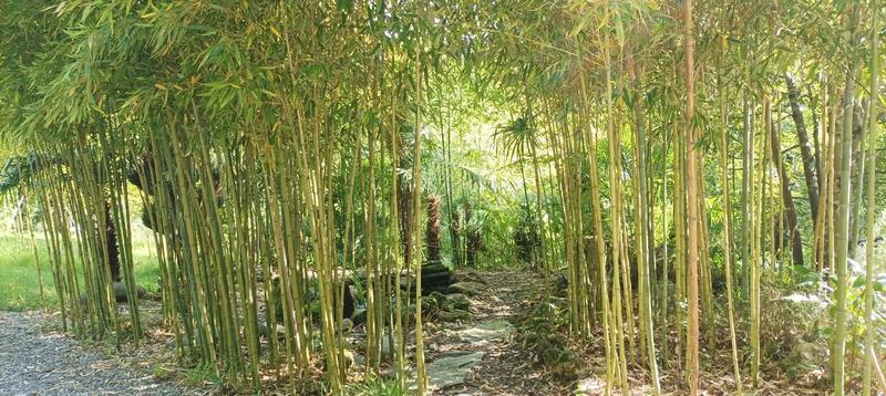 Maison - 172 m² - 6 pièces