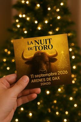 Nuit du toro