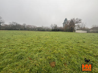 Terrain - 12 000 m²