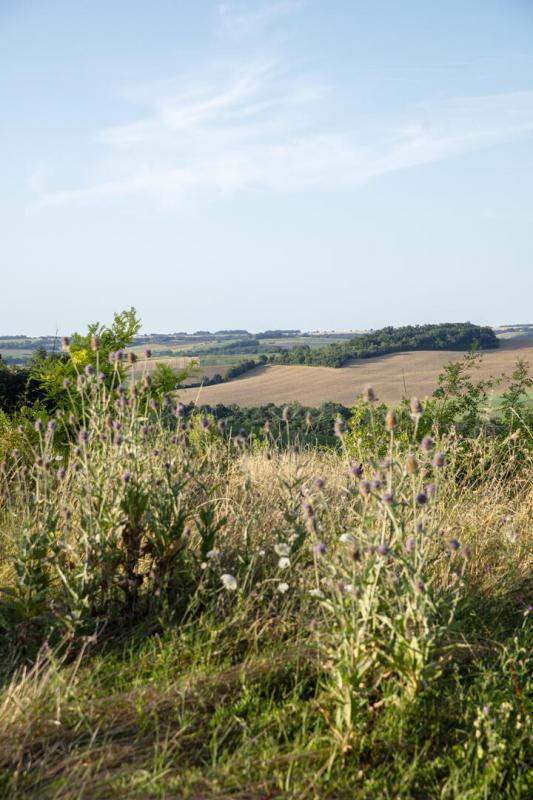 Propriété - 240 m² - 4 pièces