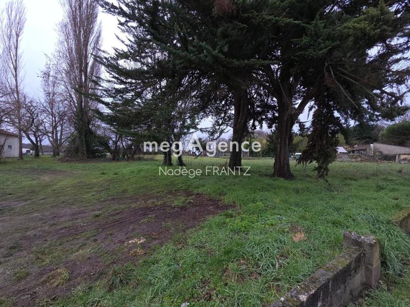 Terrain constructible - 2 529 m²