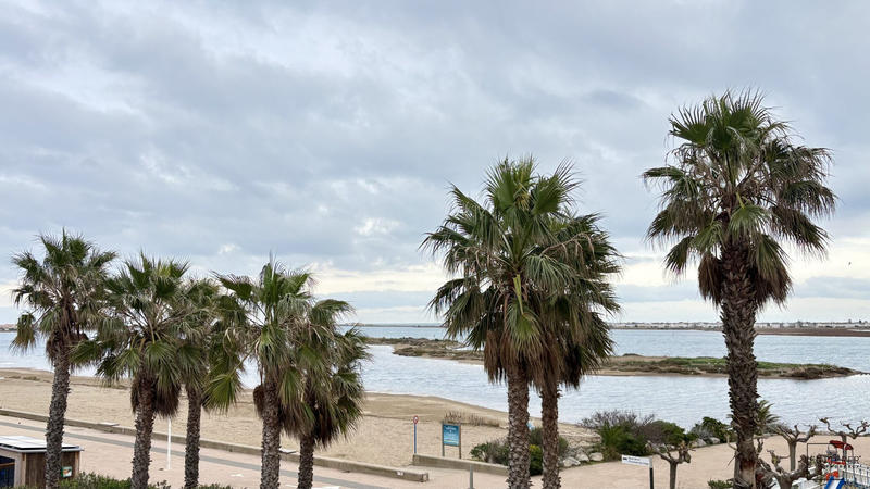 Appartement - 36 m² - 3 pièces