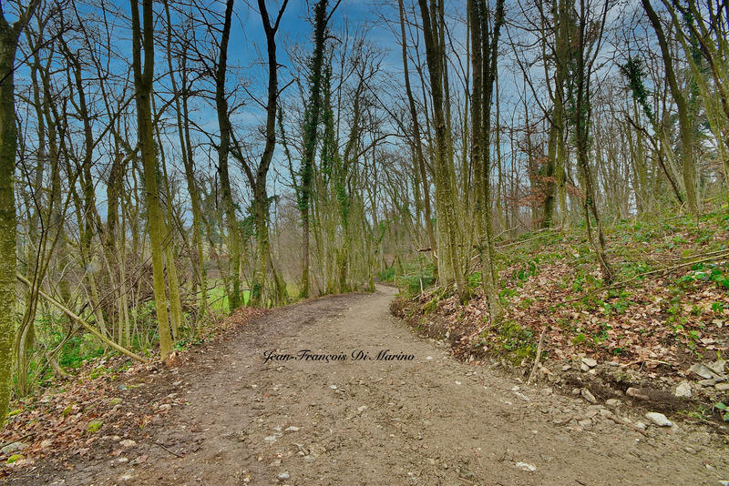 Terrain constructible - 920 m²