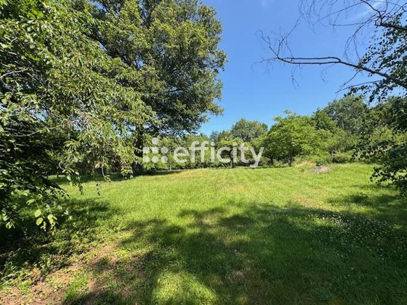 Maison - 220 m² - 10 pièces