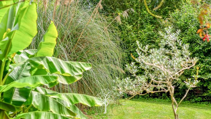 Maison - 225 m² - 6 pièces