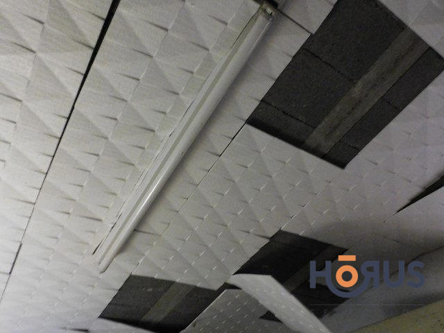 Viager - Maison ancienne - 103 m² - 6 pièces