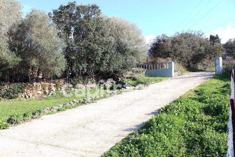 Propriété - 158 m² - 5 pièces