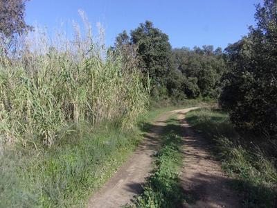 Terrain agricole - 6 270 m²