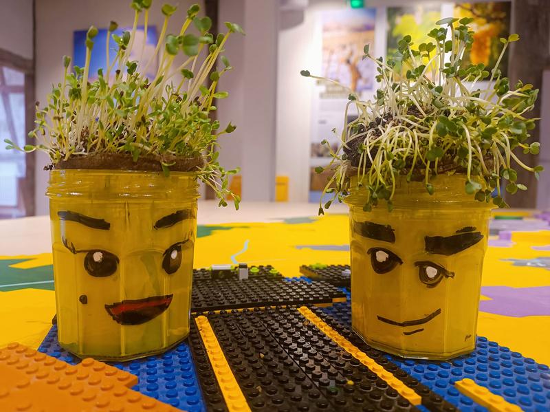 Atelier enfant : Tête à pousser