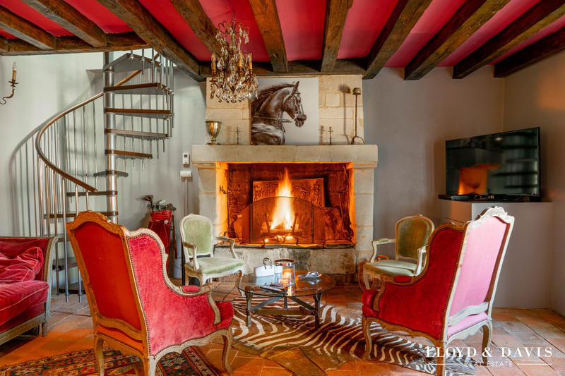 Viager - Manoir - 355 m² - 16 pièces