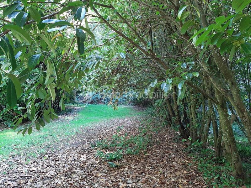 Terrain de loisirs - 9 275 m²