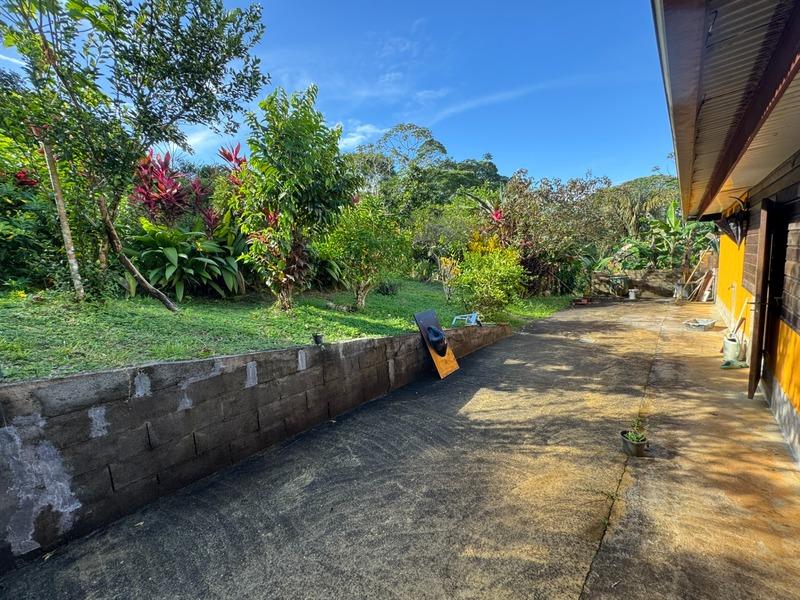 Terrain constructible - 10 113 m²