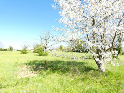 Terrain - 12 124 m²