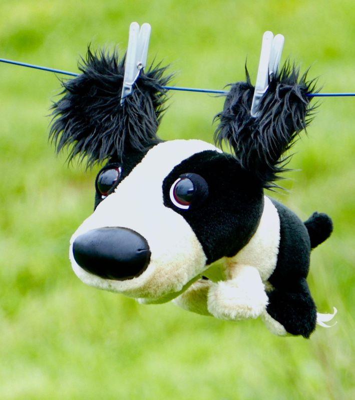 Musique - le bal des doudous