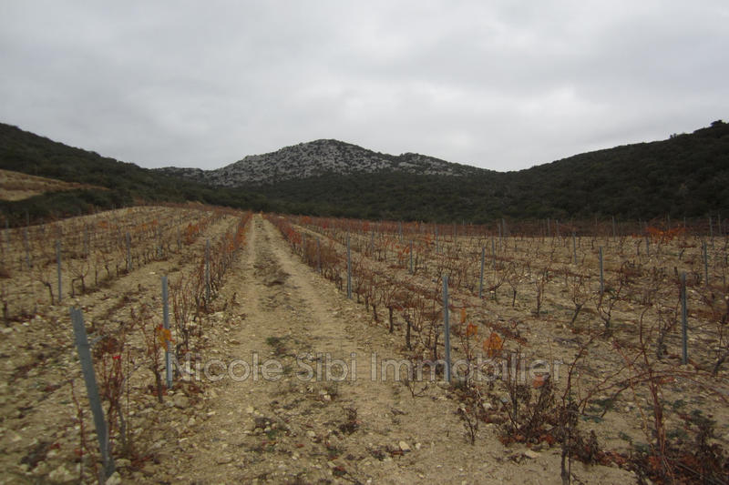 Terrain agricole - 13 501 m²