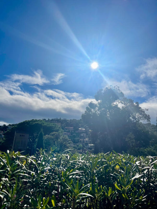 Appartement - 31 m² - 2 pièces