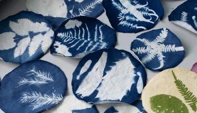 Atelier découverte du cyanotype avec la plasticienne Apolline Pliez