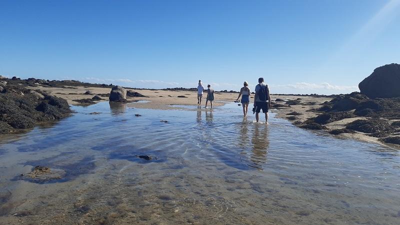 Chausey : histoire et nature avec découverte de l'estran