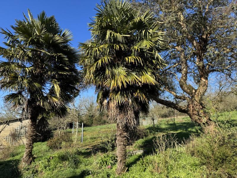 Maison de campagne - 193 m² - 8 pièces