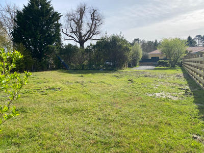 Terrain - 850 m²